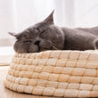 Cozy and Stylish Teng Wok Felt House Cat Bed