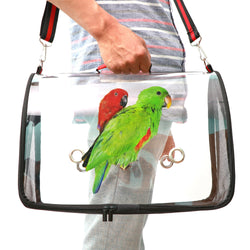 Transparent PVC Bird Cage with Mesh Design