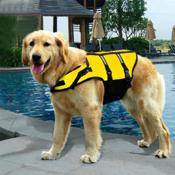 Pet Attire: Dog Clothes, Life Jackets, Swimwear 🌊