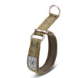 Pet Collar for Small Dogs and Cats with Little Golden Ball