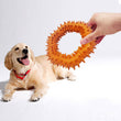 Durable Rubber Ring Molar Toy for Small and Medium-Sized Dogs