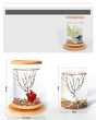 Eco-Friendly Bamboo Base Glass Aquarium for Small Spaces