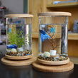 Eco-Friendly Bamboo Base Glass Aquarium for Small Spaces