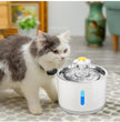 Automatic Pet Water Fountain with LED Lighting - USB, Mute & Portable for Dogs & Cats 🐈