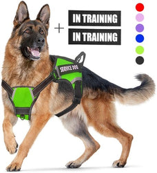 Adjustable Dog Harness | Multiple Color | with Easy-to-Wear Buckle and Stainless Steel D-Ring