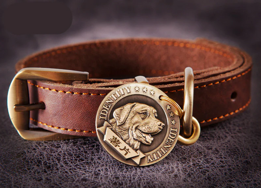 Personalized Lost-Prevention Dog Collar ID Tag