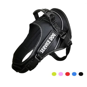 Comfy and Adjustable Dog Harness with Stainless Steel D-Ring