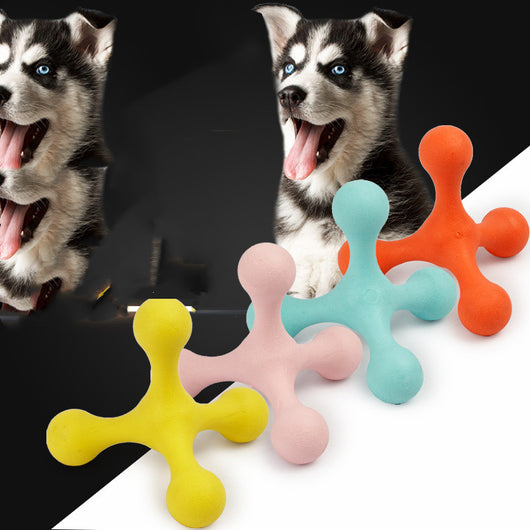 Dog Molar Toy - Pet Supplies for Dental Health