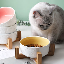 Ceramic and Bamboo Pet Water and Food Bowl for Cats and Dogs