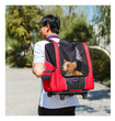 Portable Small Pet Wheel Carrier Backpack for Dogs and Cats - Breathable, Multi-Functional Travel Bag 🐱