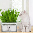 Organic Soil-Free Cat Grass for Clean Oral Health | Natural Cat Supplies