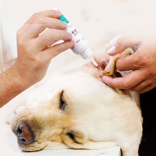 Dog Ear Cleaning Solution for Ear Mite Removal and Odor Control