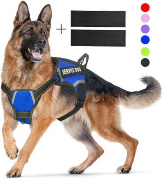 Adjustable Dog Harness | Multiple Color | with Easy-to-Wear Buckle and Stainless Steel D-Ring