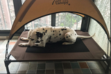 Comfortable and Versatile Pet Bed with Moisture-proof and Breathable Design