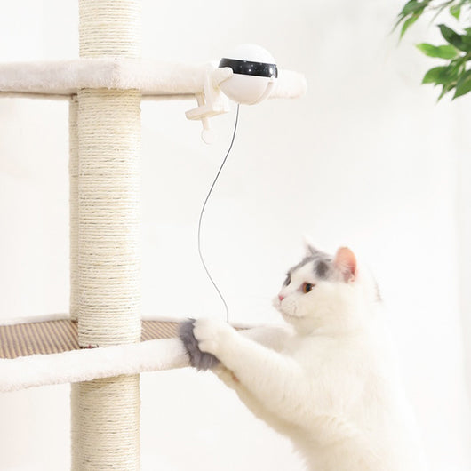Interactive Electronic Motion Pet Toy: Funny Electric Lifting Ball Cat Teaser