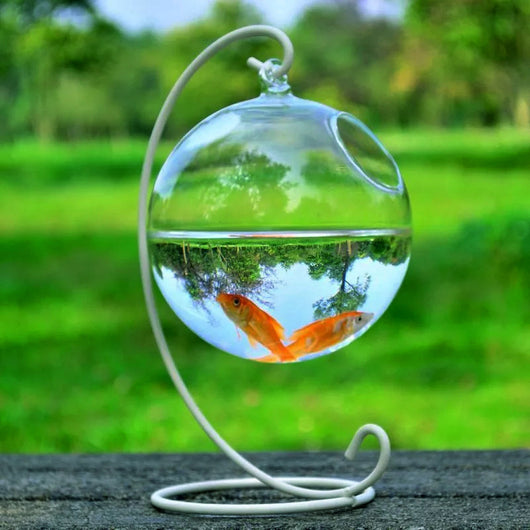 Hanging Glass Vase Fish Tank - Perfect for Small Spaces and a Stylish Addition to Your Home Decor