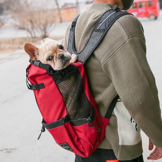 Portable Pet Dog Carrier Backpack with Double Shoulder Straps