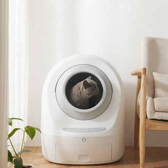 Smart Electric Fully Enclosed Cat Litter Box with WiFi Connectivity