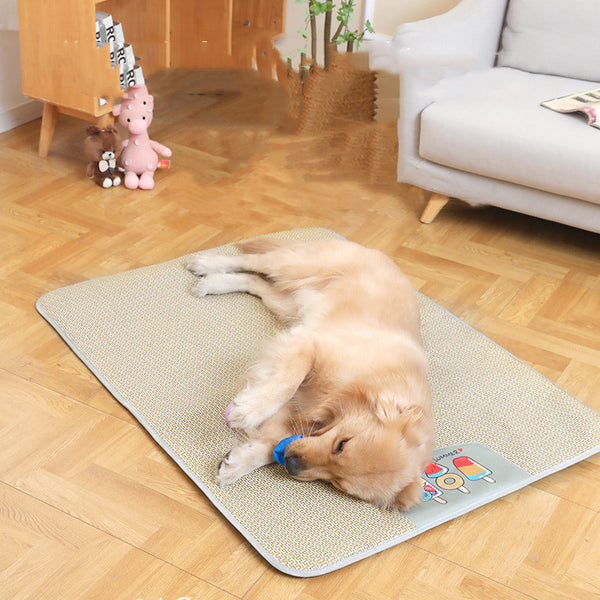 Non-Slip Pet Mat for Dog Sleeping