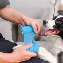 Protect Your Pup's Paws from Dirt and Scratches with Pet Self-Adhesive Bandages