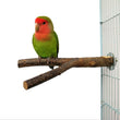 Bird Standing Frame Rattan Ring Chewing Toy for Small and Medium-Sized Birds